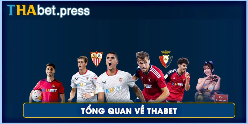 Tổng quan về Thabet